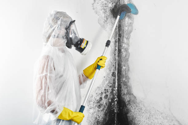 Best Forensic Mold Investigation  in Mukwonago, WI