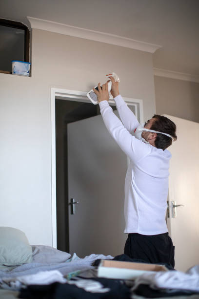 Best Mold Remediation for Vacation Homes  in Mukwonago, WI