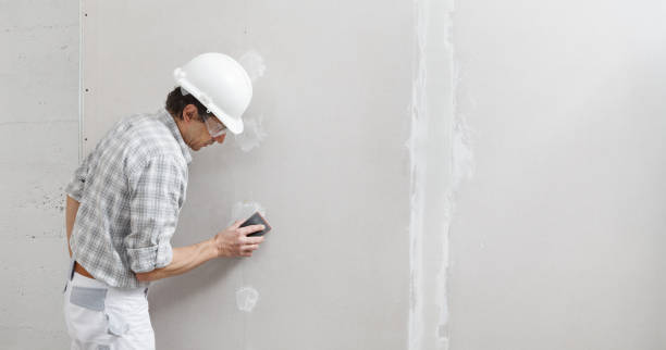 Best Commercial Mold Inspection  in Mukwonago, WI