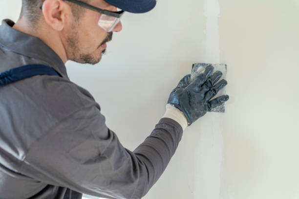 Best Mold Removal for HVAC Installations  in Mukwonago, WI