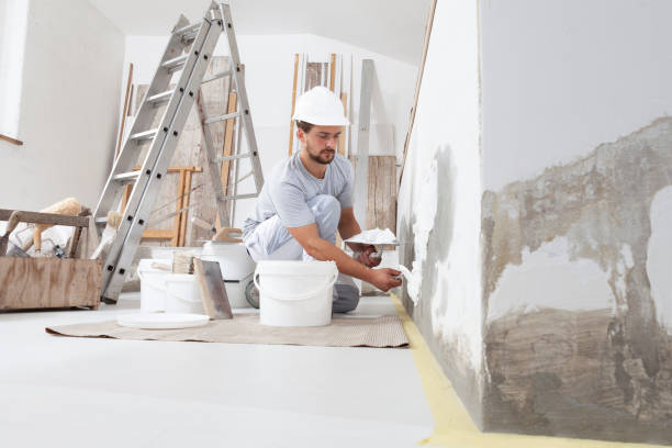 Best Mold Prevention Services  in Mukwonago, WI
