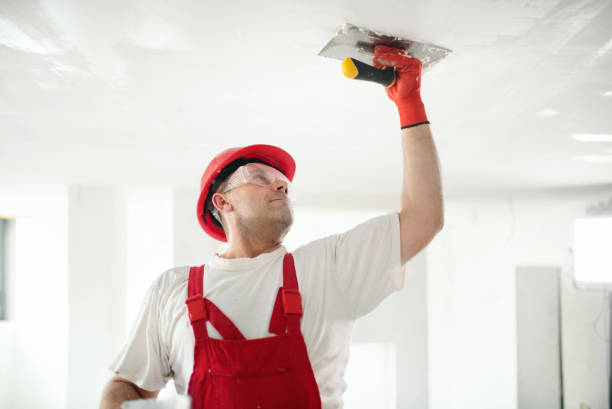 Best Emergency Mold Remediation  in Mukwonago, WI