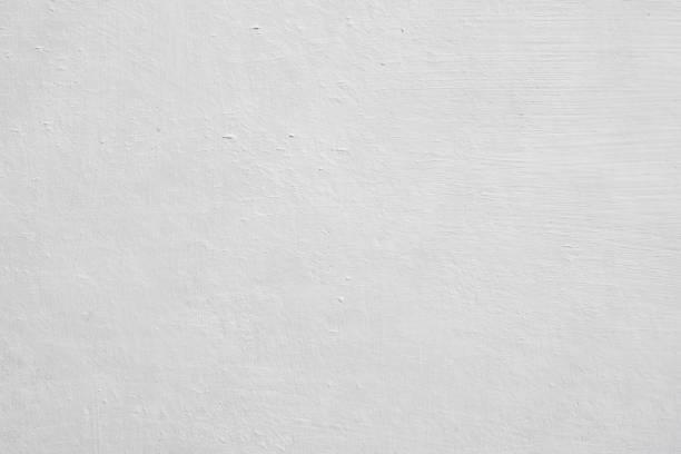 Best Mold Remediation for Rental Properties  in Mukwonago, WI