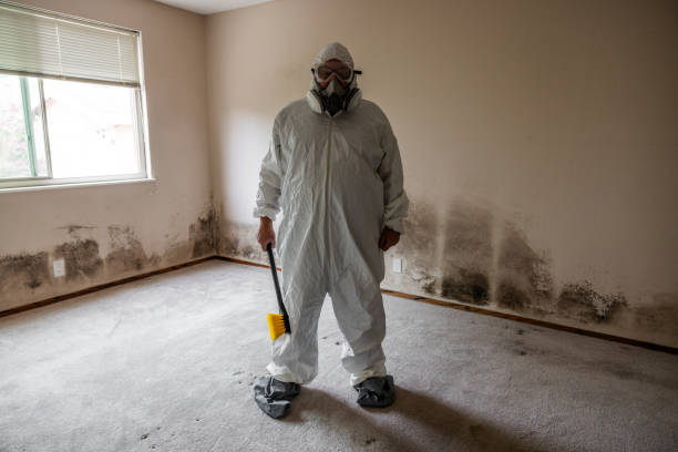 Best Air Quality Testing for Mold Spores  in Mukwonago, WI